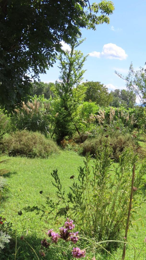 Ca Veja B&B Forlì Kültér fotó